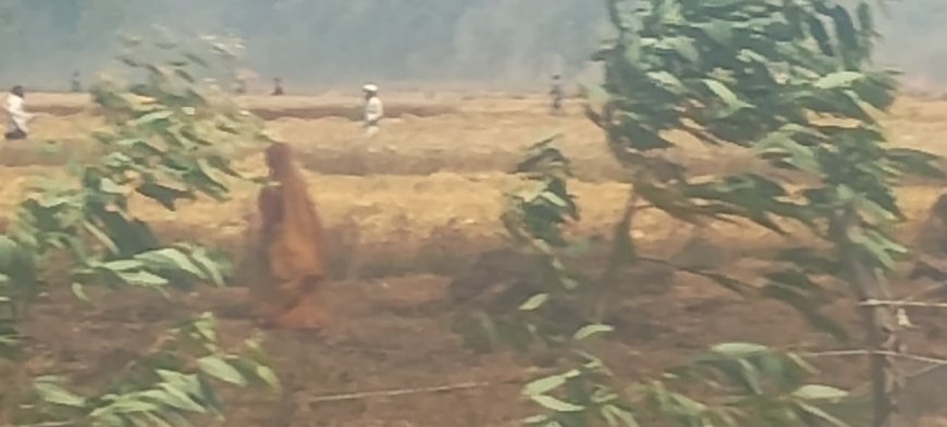 11 हजार बिजली की लाईन टूटने से खेतों में लगी भीषण आग, किसानों को भारी नुक़सान