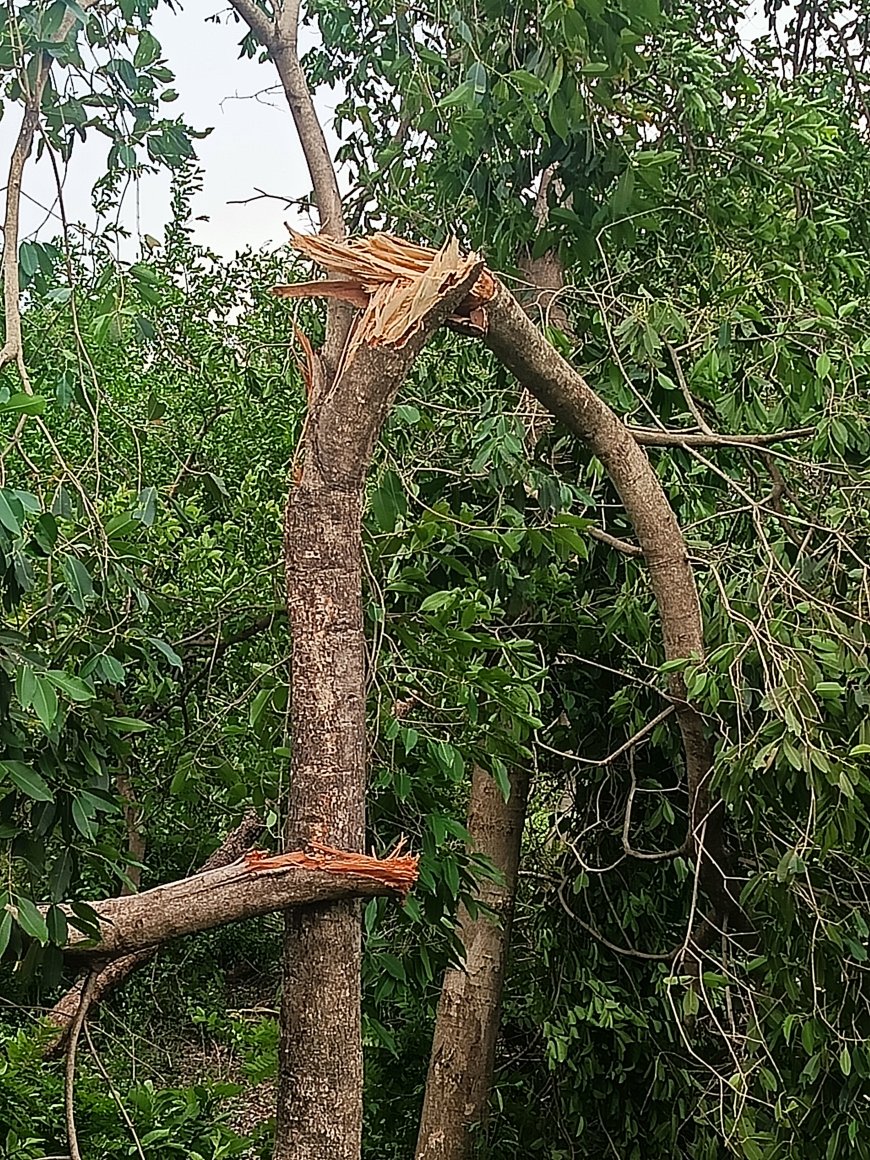 सीएम योगी ने डीएम समेत संबंधित विभागों के अधिकारियों को मौके पर जाने के लिए कहा
